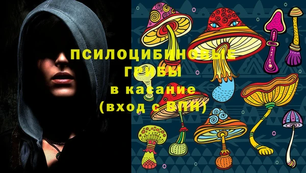 наркотики Новодвинск