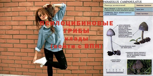 хмурый Нязепетровск