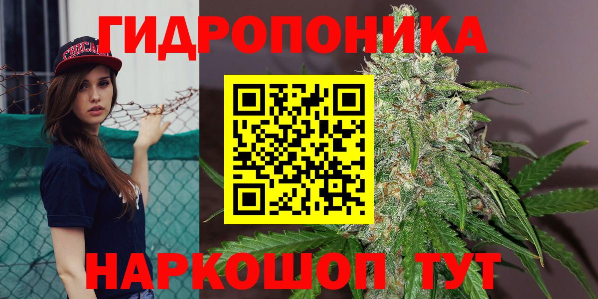 Каннабис планчик Минусинск